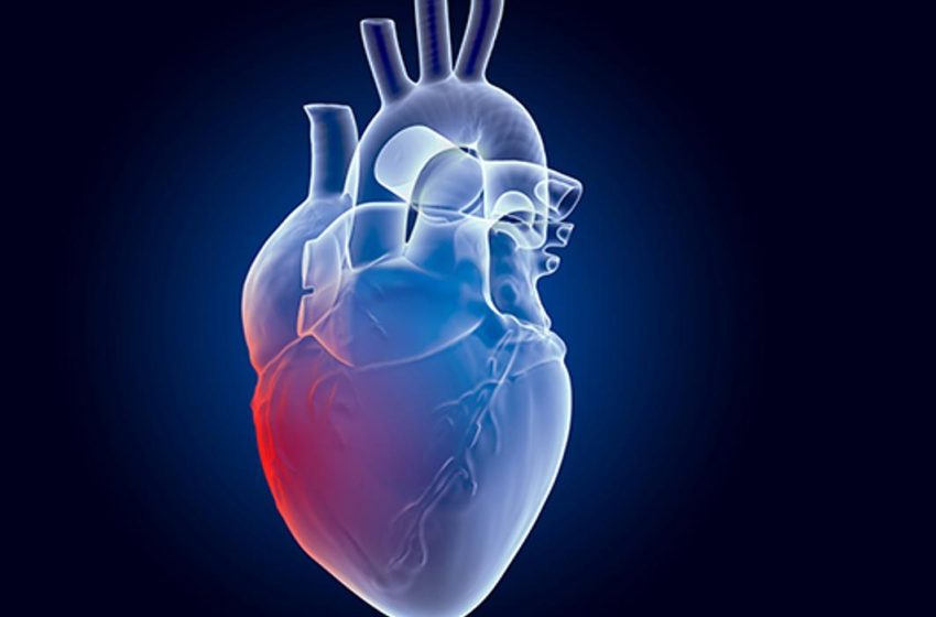  La autoinmunidad un nuevo factor de riesgo cardiovascular