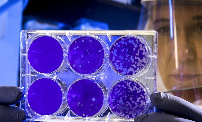  Un nuevo marcador genómico facilita la terapia dirigida para un tipo de cancer colorrectal metastásico