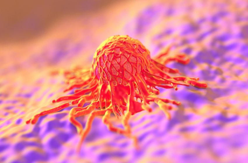  El excepcional caso de una mujer que ha sobrevivido a 12 tumores abre una vía para curar el cáncer