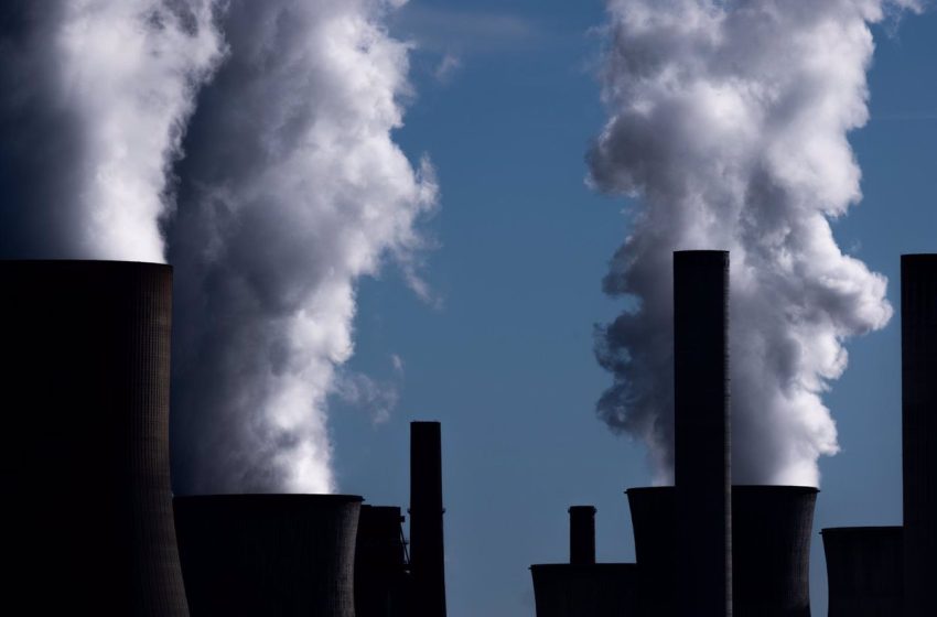  La OMS pide que la salud sea «el centro» de las negociaciones sobre el cambio climático en la COP27