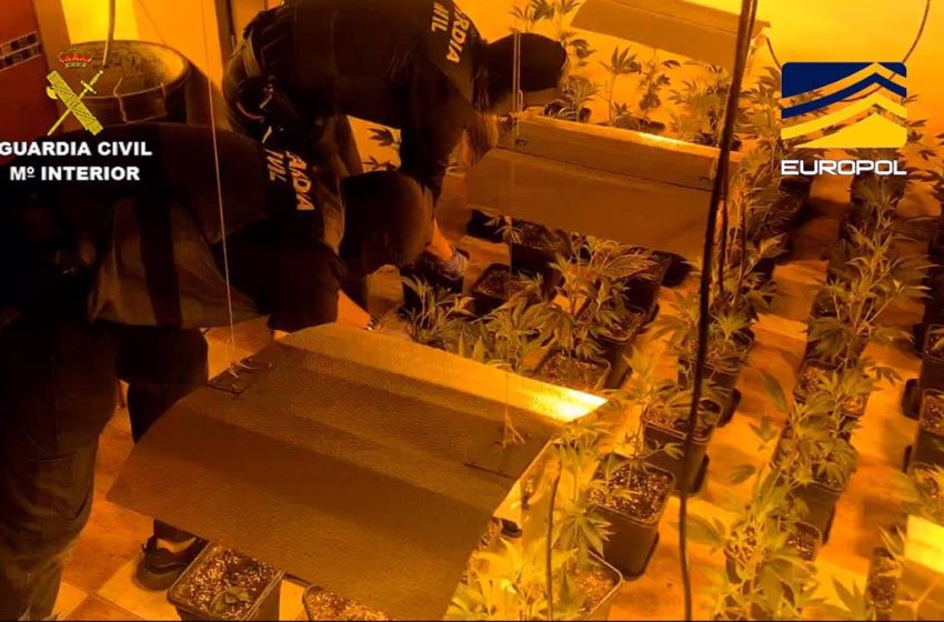  Detenidos 37 integrantes de una red criminal que enviaba cargamentos de hachís y marihuana a Europa desde Granada