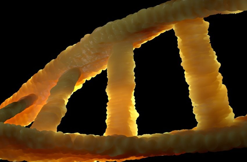  Llega la terapia de edición genética más personalizada para el cáncer