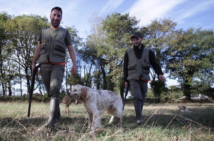  UP avanza que el PSOE cede en la Ley de Bienestar animal y acepta considerar a los perros de caza animal de compañía