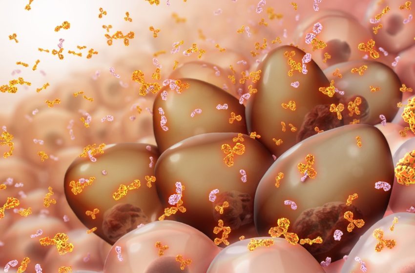  Una terapia celular prolonga la supervivencia en el mieloma más resistente