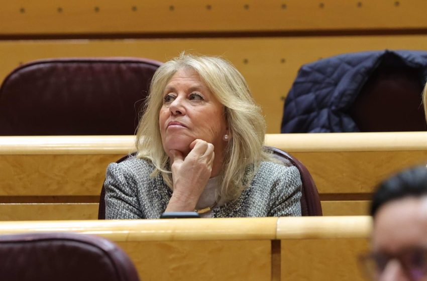  El Senado abre la investigación sobre el patrimonio de la alcaldesa del PP en Marbella que pedía el PSOE