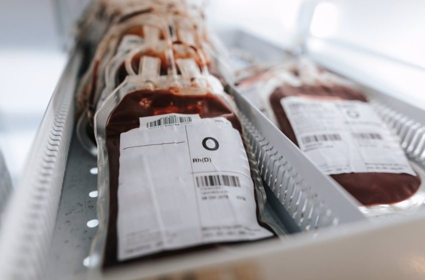  Cuándo son necesarias las transfusiones de sangre y por qué es peligroso mezclar grupos sanguíneos