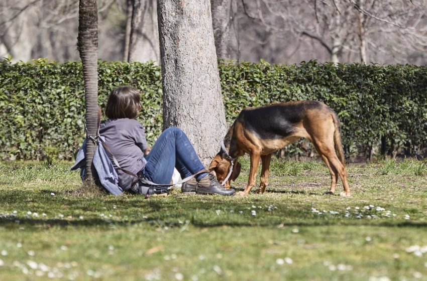  El Congreso aprueba definitivamente la Ley de Bienestar Animal, sin perros de caza ni examen de aptitud de dueño y can