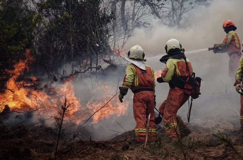  La Fiscalía abre diligencias de investigación por la oleada de incendios forestales en Asturias