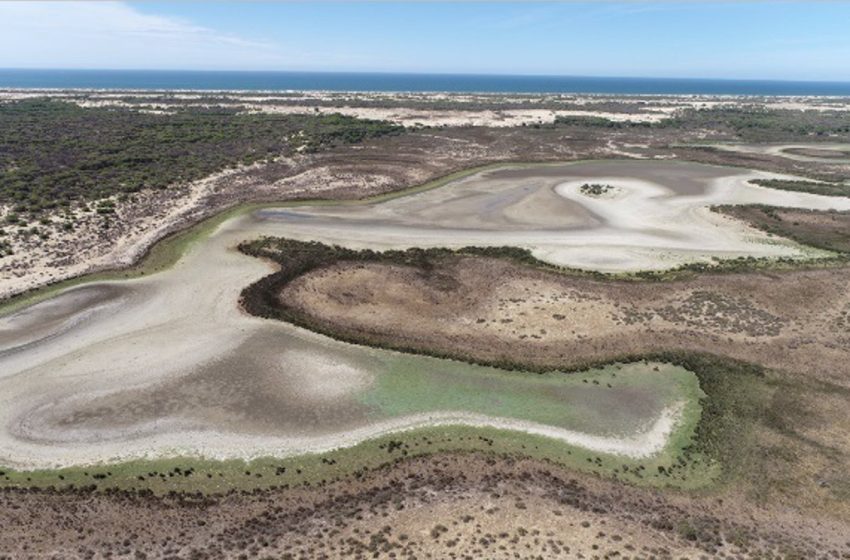  El Gobierno desmiente un supuesto ‘155 ecológico’ con Doñana: «Ni se lo ha planteado ni se lo plantea»