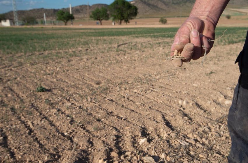  El Gobierno rebaja el 25% en el IRPF para ayudar a 800.000 agricultores y ganaderos por la sequía