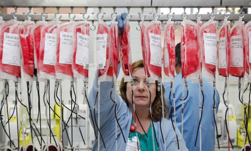  El sexo del donante de sangre no afecta a la supervivencia del receptor