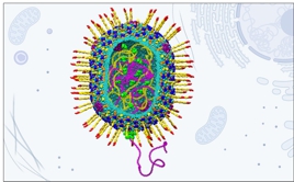 Modelo estructural del vector viral artificial del bacteriófago T4