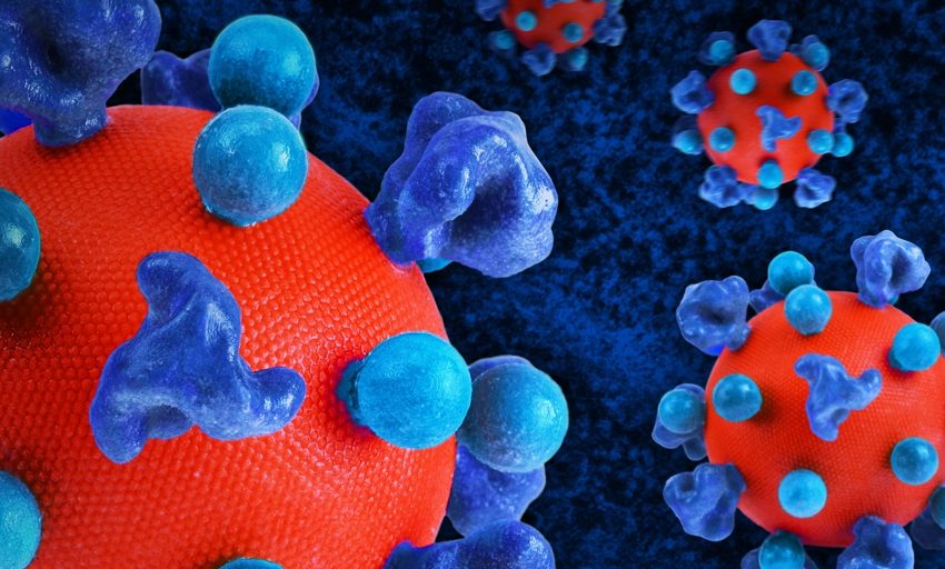  Una terapia dual elimina el virus que causa el sida en ratones