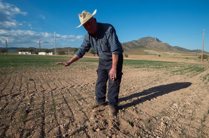  El PP plantea nuevas ayudas a explotaciones agrarias en crisis y un IVA reducido cuando no sean rentables
