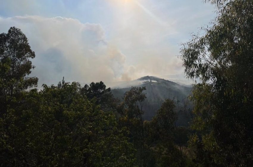  El incendio en Pinofranqueado se encuentra en una situación «crítica» tras alcanzar el fuego a Sierra de Gata