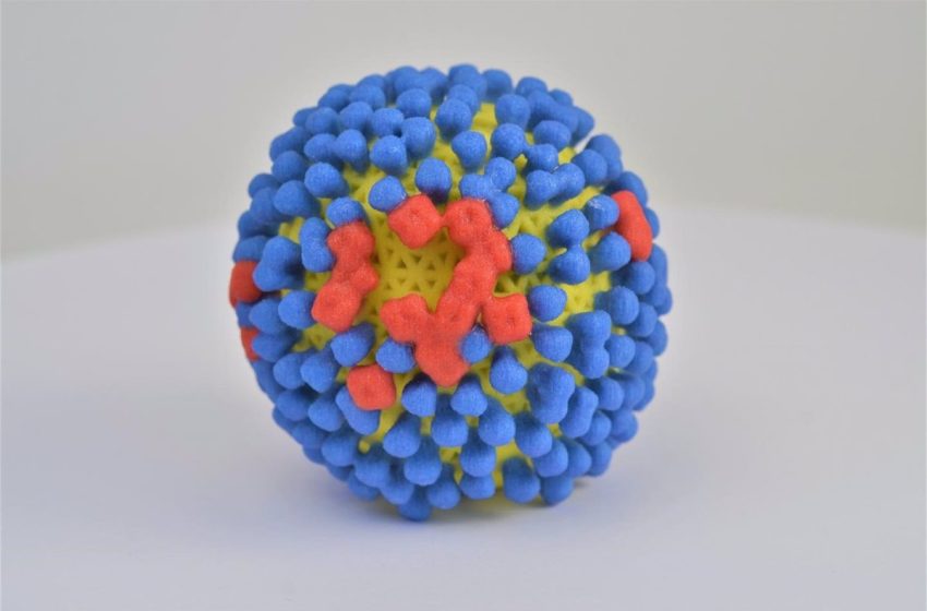  Cómo el virus de la gripe ‘hackea’ nuestras células