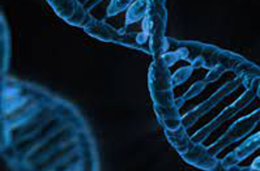  Una nueva edición genética CRISPR cura la anemia falciforme