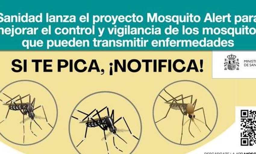  «Si te pica, notifica»: así es ‘Mosquito Alert’, la nueva app de Sanidad para reportar picaduras, avalada por Fernando Simón