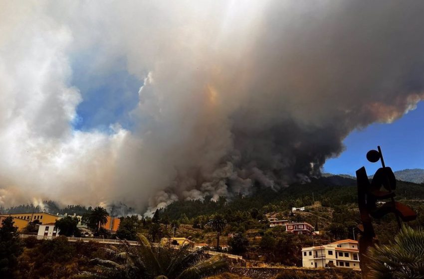  Aumentan a 2.000 las hectáreas afectadas por el incendio de Puntagorda (La Palma), que emite focos secundarios