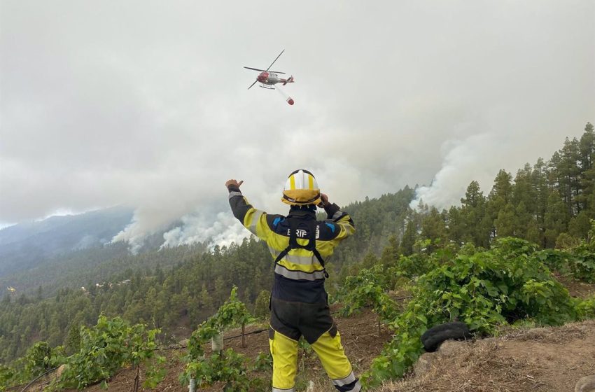  El incendio de La Palma sigue activo en tres frentes y preocupa el flanco de La Caldera