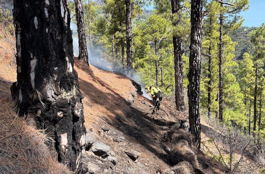  El incendio de La Palma sigue activo en dos frentes y se da por estabilizado en la zona de El Reventón