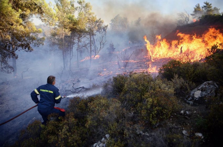  El primer ministro griego admite que será un «verano difícil» por los incendios: «No hay solución mágica»