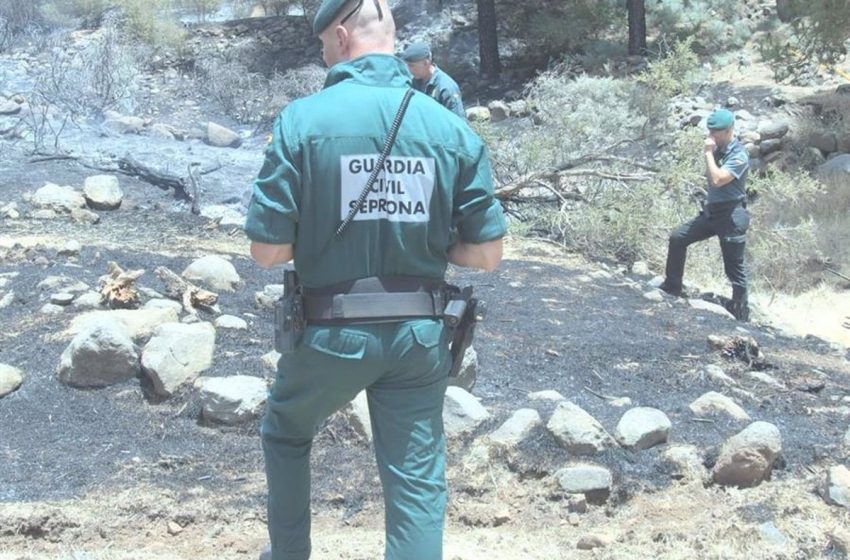  Investigan al trabajador de una empresa que hace labores forestales para Cabildo por el fuego de Gran Canaria