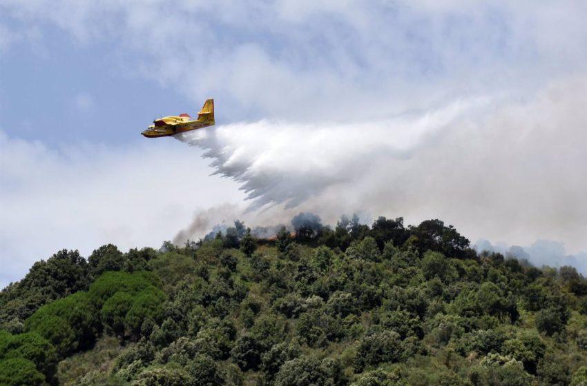  Italia despliega aviones y hasta 3.000 bomberos para hacer frente a los incendios en Palermo