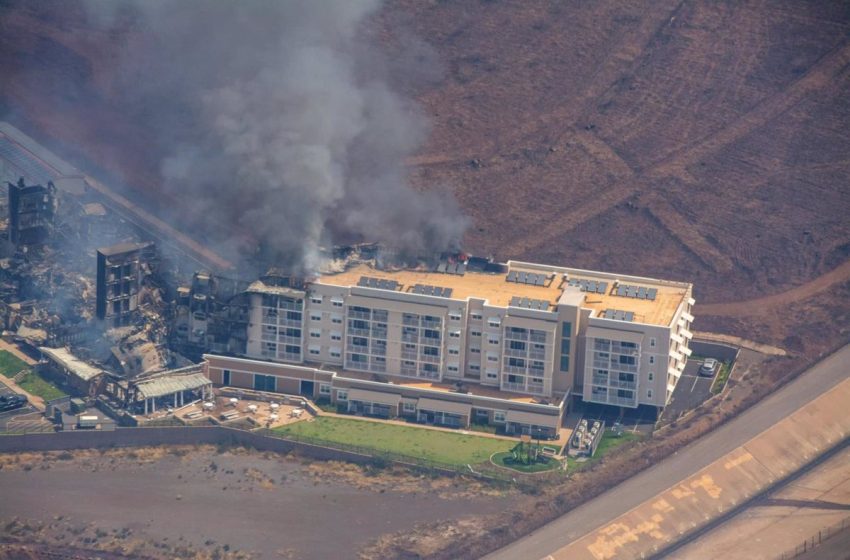  Ascienden a 89 los muertos por los incendios forestales en Hawái