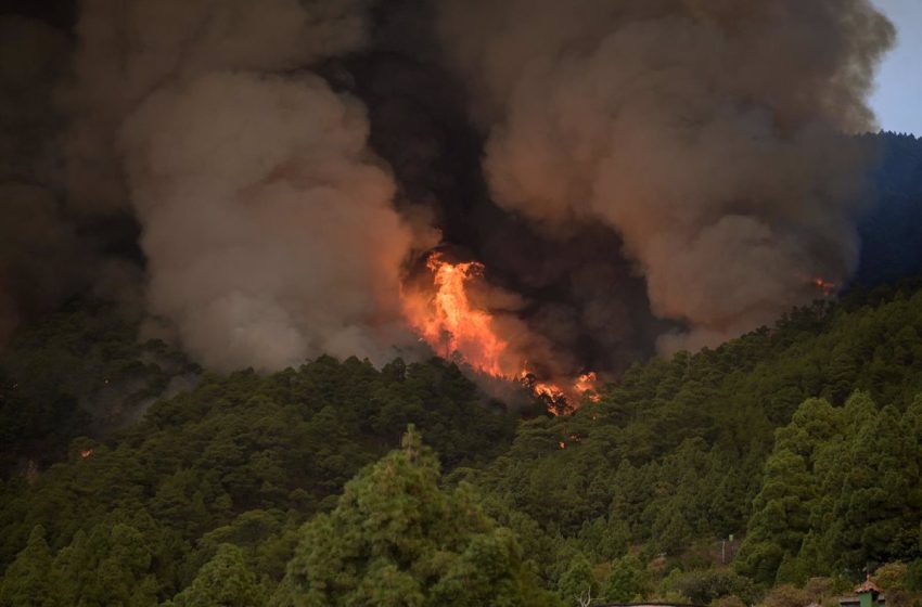  El incendio de Tenerife sigue fuera de control y afecta ya a 3.273 hectáreas