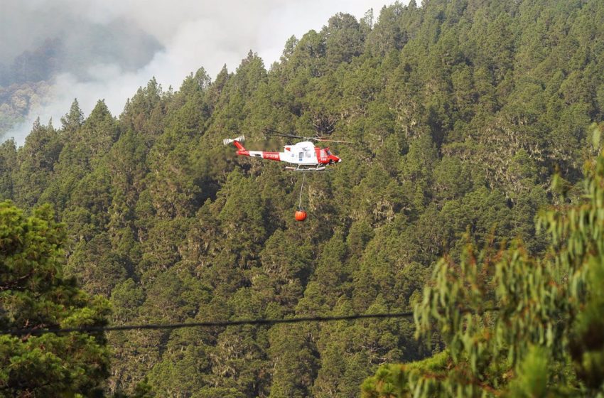 El incendio de Tenerife comienza a tener un comportamiento más normalizado y alcanza las 3.797 hectáreas