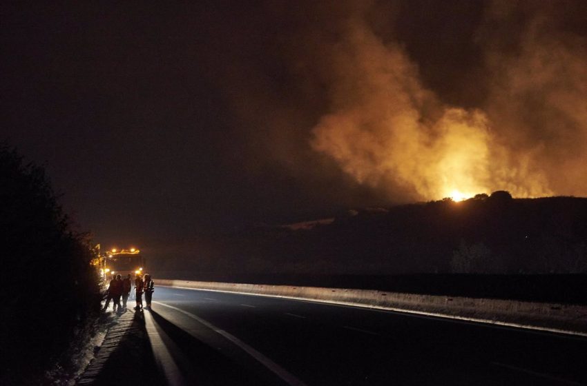  Mueren 26 migrantes calcinados por las llamas en un bosque cercano a la ciudad griega de Alejandrópolis