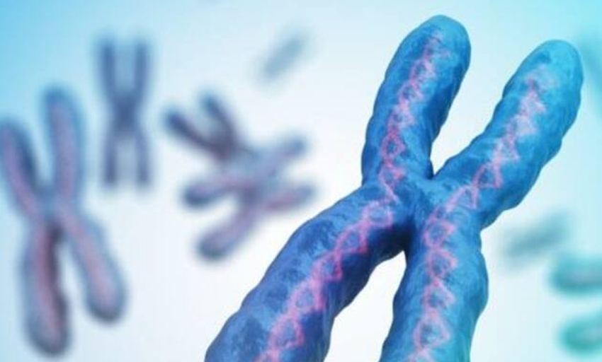  El cromosoma Y tiene un papel de las enfermedades digestivas