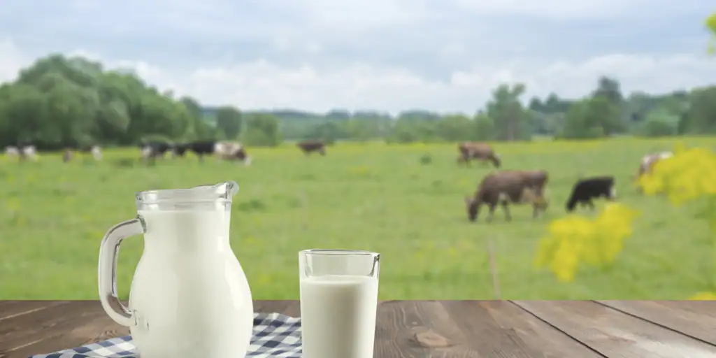  Estas son las personas que al beber leche reducen su riesgo de diabetes tipo 2