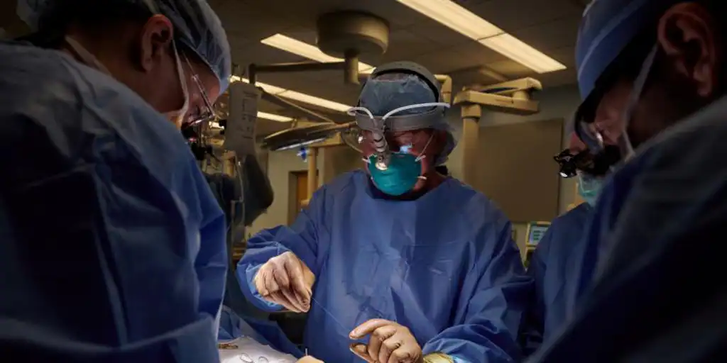  Primer trasplante de un riñón de cerdo modificado genéticamente a un paciente vivo en Estados Unidos