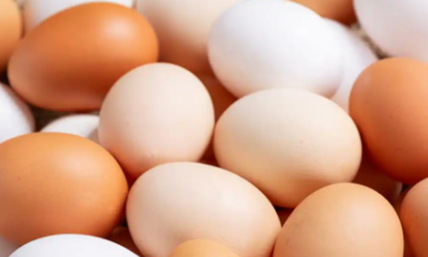  Un estudio evidencia que los huevos no aumentan el colesterol en las personas ni afectan a su salud cardiovascular