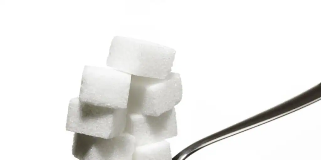  ¿Cuánto azúcar necesitamos realmente?